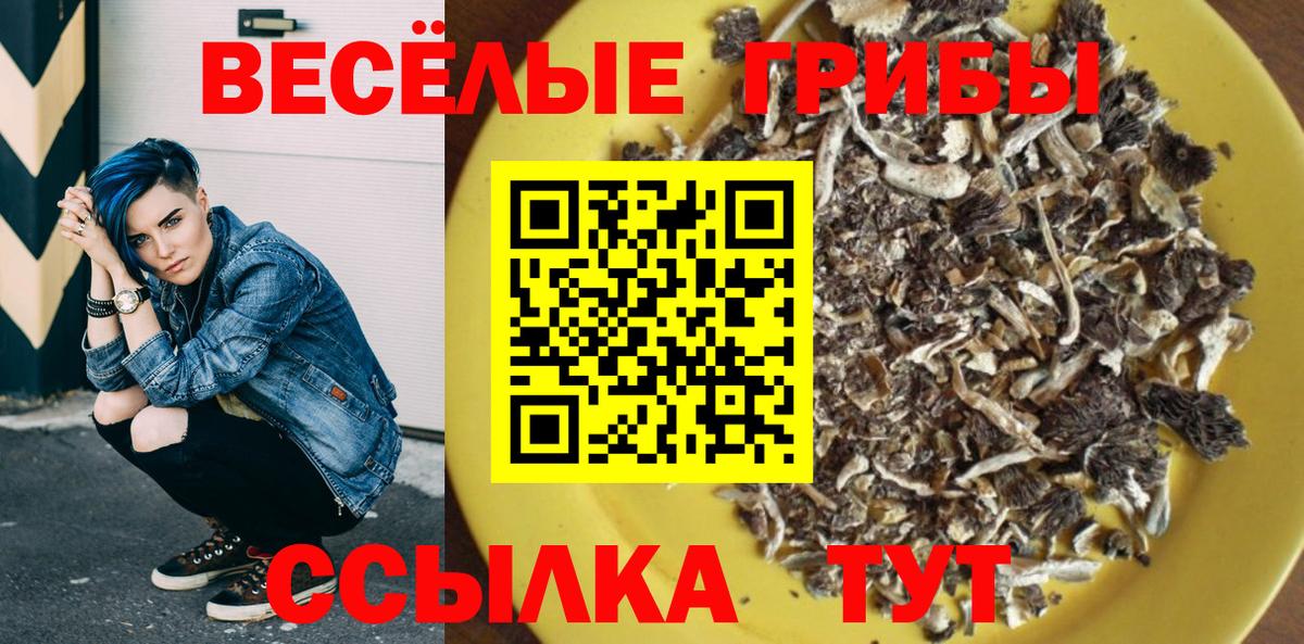 Галлюциногенные грибы Psilocybine cubensis Великий Новгород