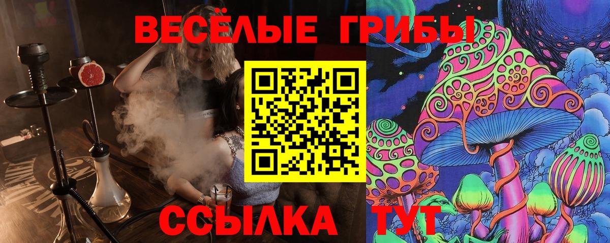 Великий Новгород  Галлюциногенные грибы прущие грибы  Вход с VPN 